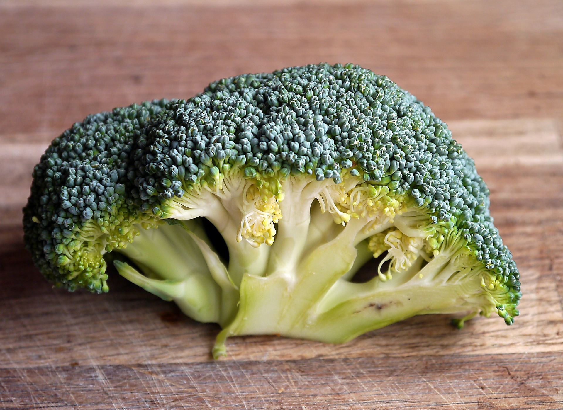 7 Benefits of Broccoli and 3 Side Effects Of Broccoli