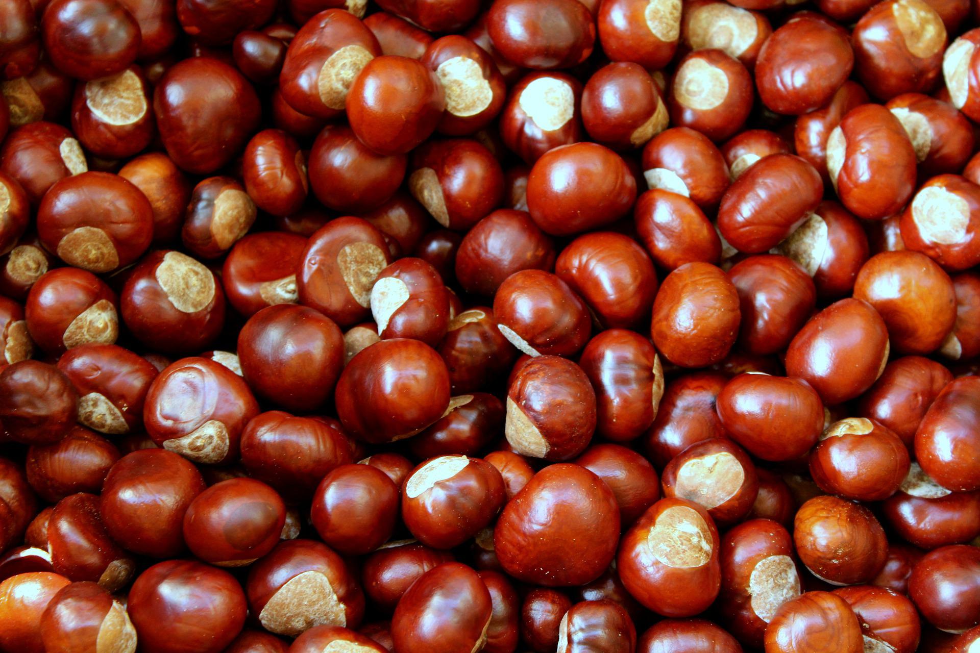 5 Best Health Benefits of Chestnuts
