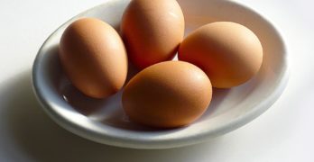 6 Tryptophan Rich Foods That You Should Know