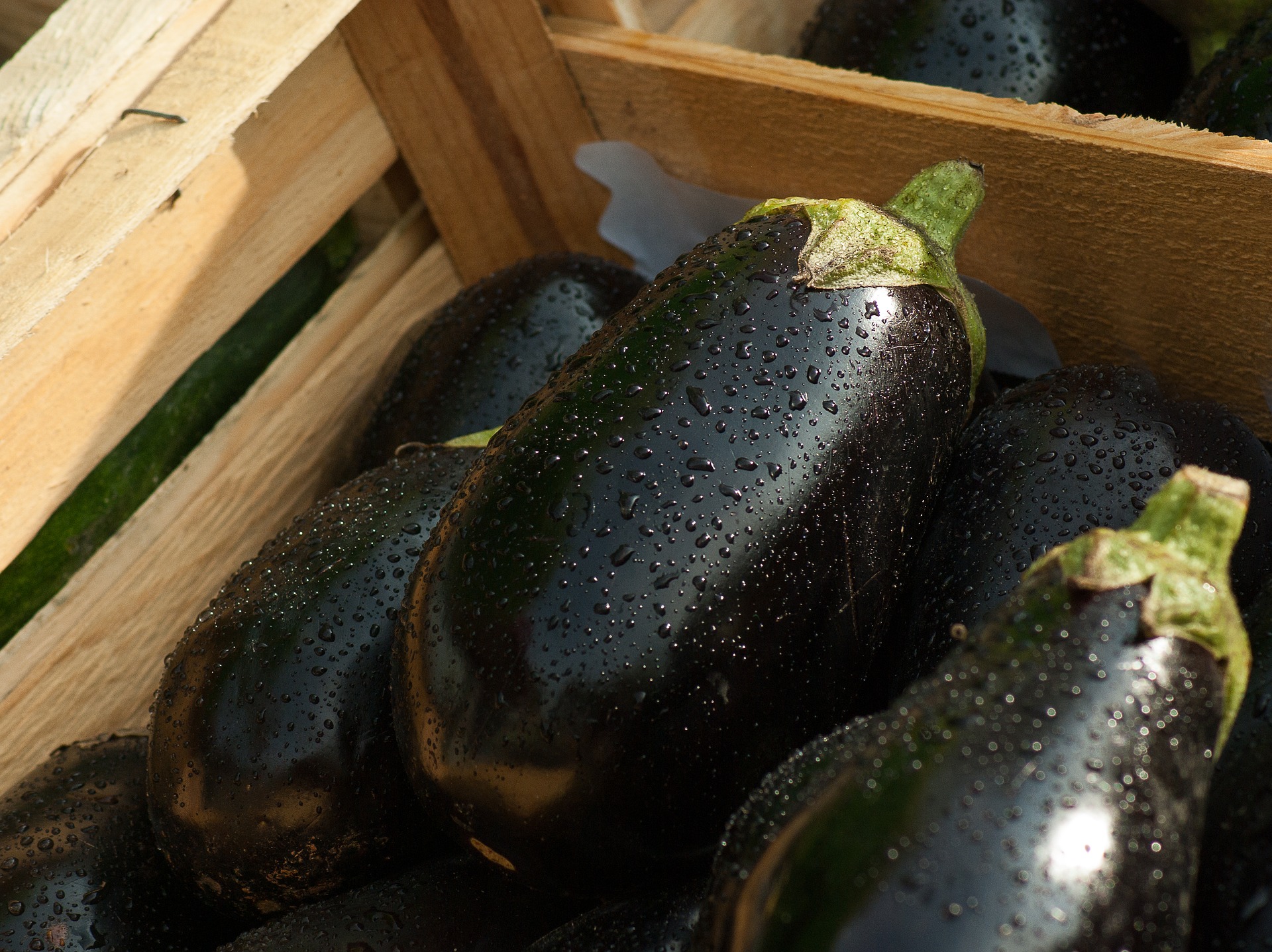 7 Eggplant Benefits and Side Effects