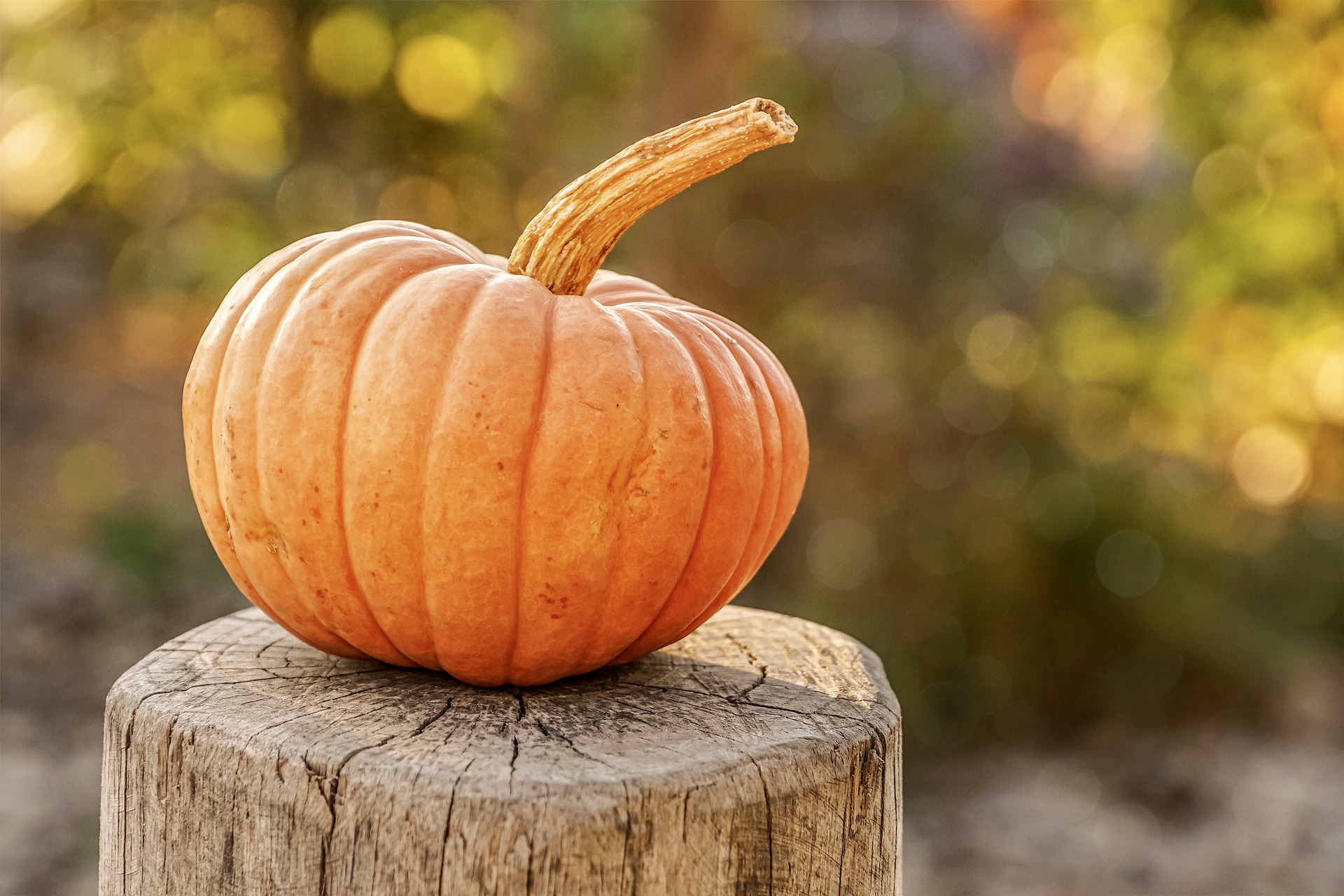 5 Benefits of Pumpkin and 3 Delicious Recipe