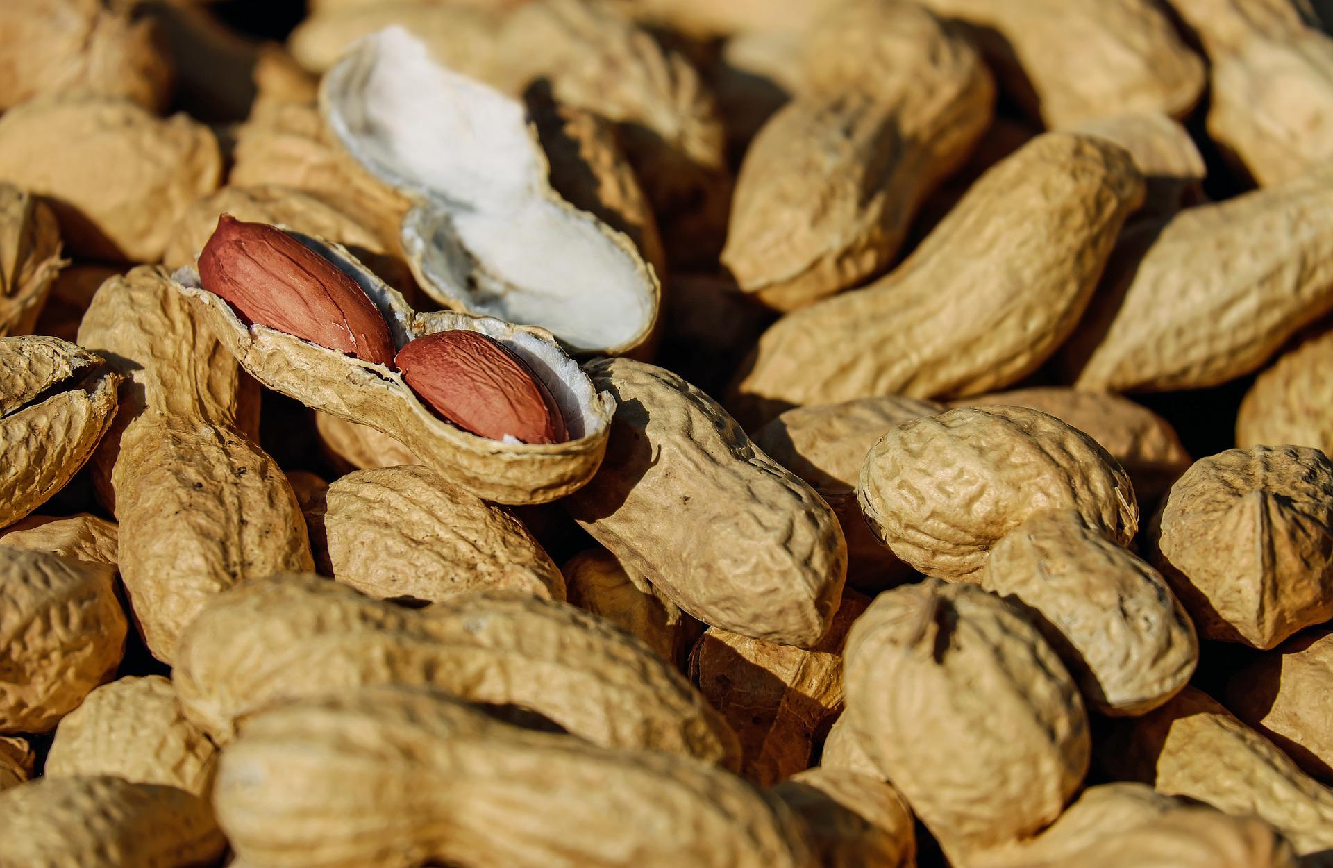 7 Benefits of Eating Peanuts