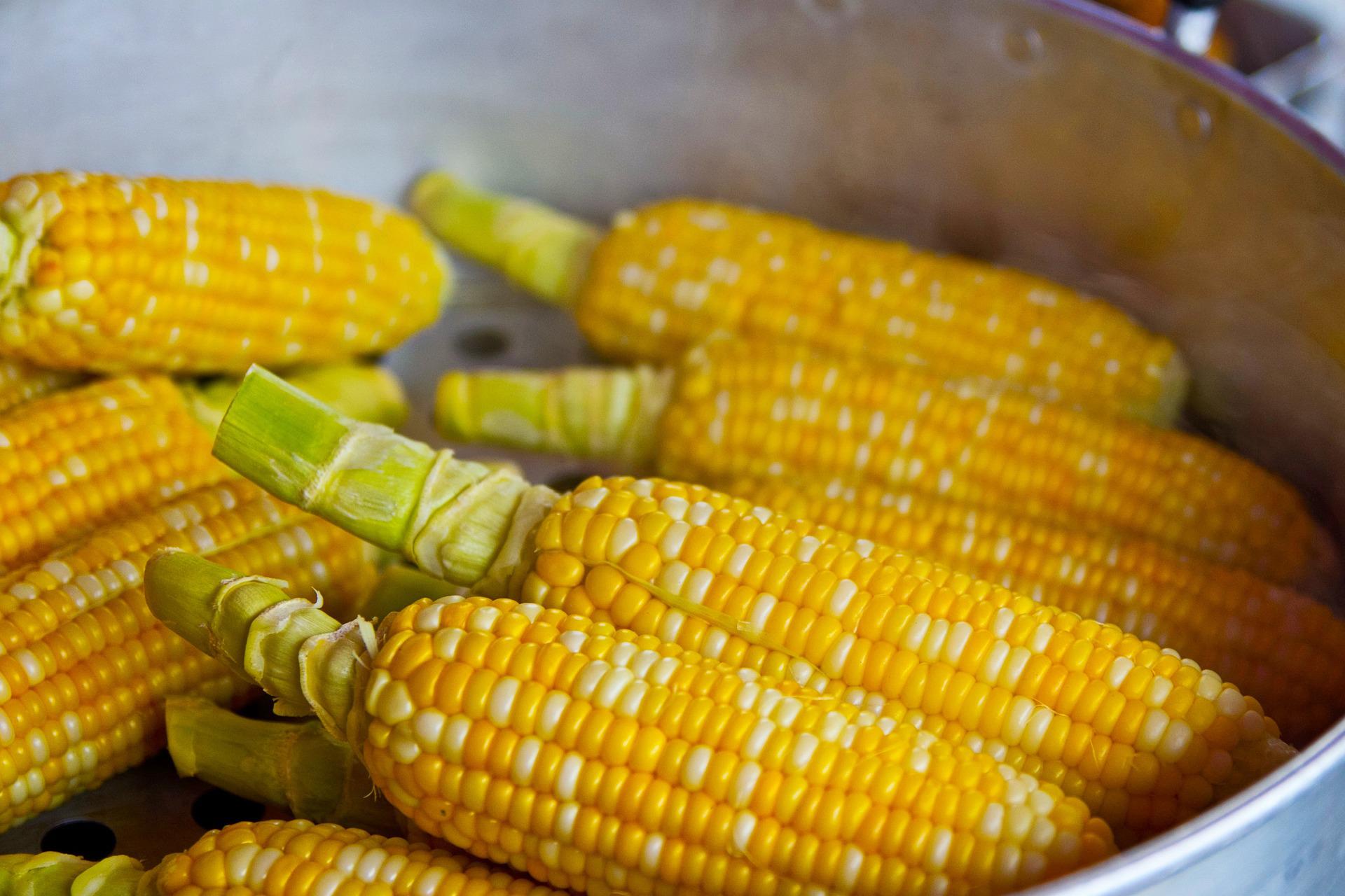 Corn Benefits and Side Effects