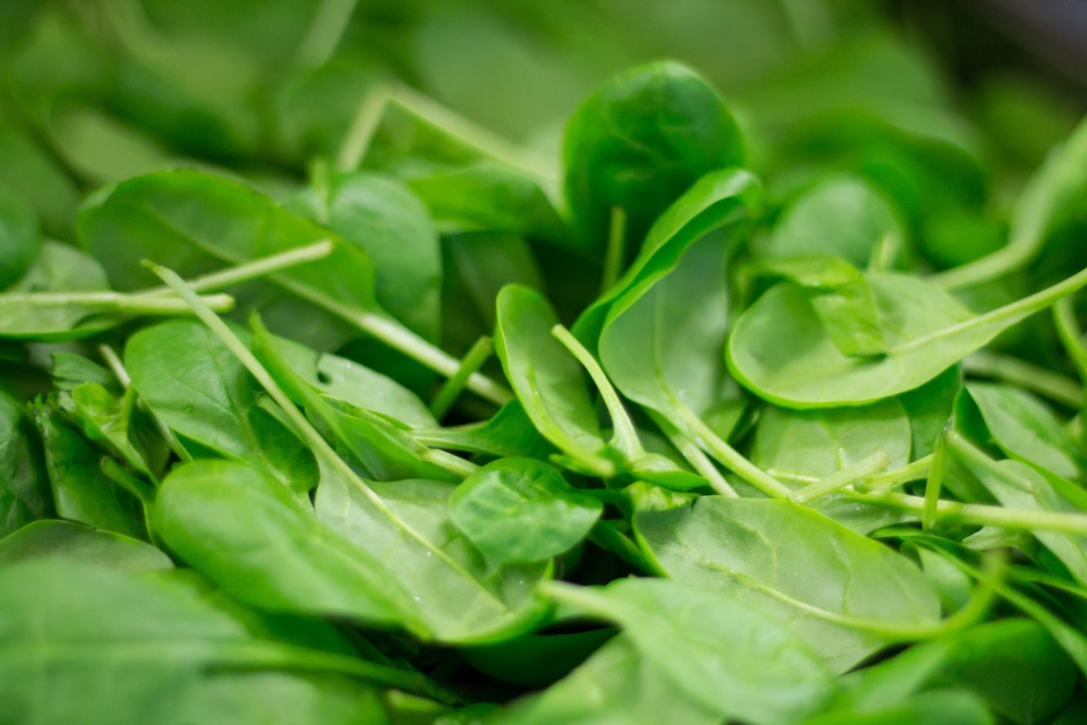 10 Benefits and Side Effects of Spinach LiveMinty