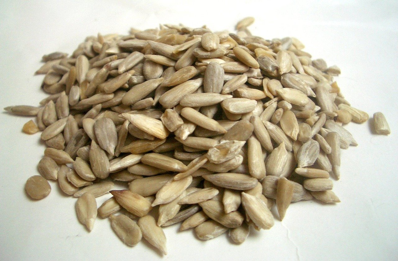 Sunflower Seed Benefits and Side Effects