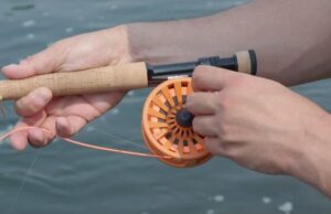 Guide for Beginning Fly Fishers by Chris Niccolls – Leave Bad Habits Behind