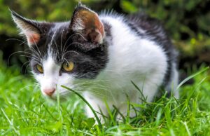 50 Super Interesting Facts About Farts 50 Super Interesting Facts About Farts