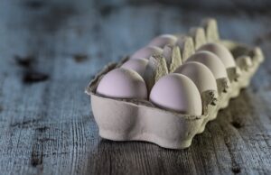 Top 10 Foods With Most Protein Eggs
