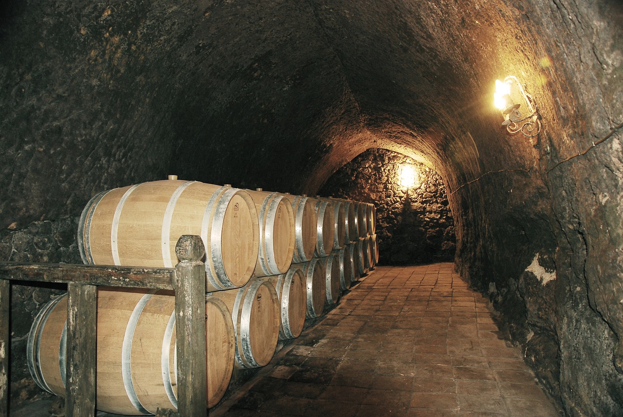Top 20 Wineries In The World That You Must Visit Before You Die