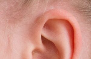 20 Fun Facts About Human Ears 20 Fun Facts About Human Ears