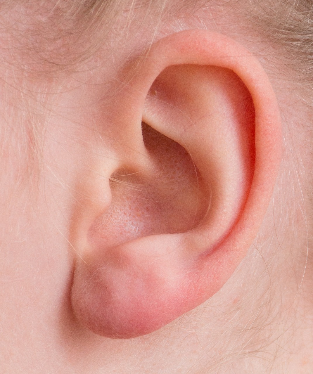20 Fun Facts About Human Ears