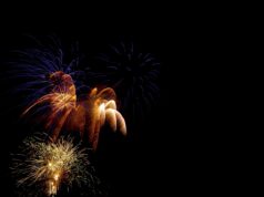 50 Super Interesting Facts About July 4th Independence Day independence day