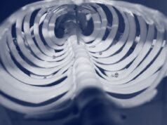 20 Fun Facts About Human Ribs 20 Fun Facts About Human Ribs