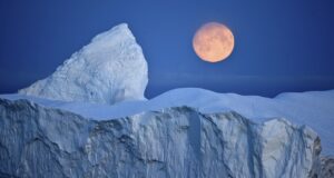 20 Fun Facts About Antarctica Antarctica