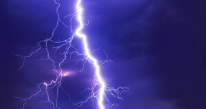 20 Fun Facts About Thunder Thunder