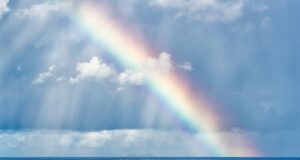 20 Fun Facts About Rainbow Rainbow